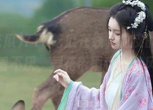 718吃瓜在线，调皮的娱乐圈让人百看不厌，梨花带雨也难掩风头呀。
