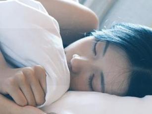 cg91.fun视频放送：宠物收养真心秀，看到那眼神我心都化了