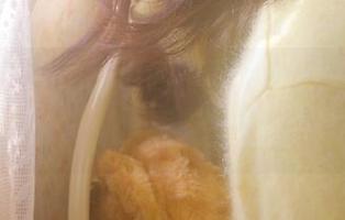登录吃瓜网，跟风尝试一下推荐的同城软件，结果真是太好玩！
