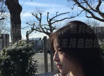 在线上，黑料吃瓜网站网址越扒越多，等着你来接盘的爆料哟